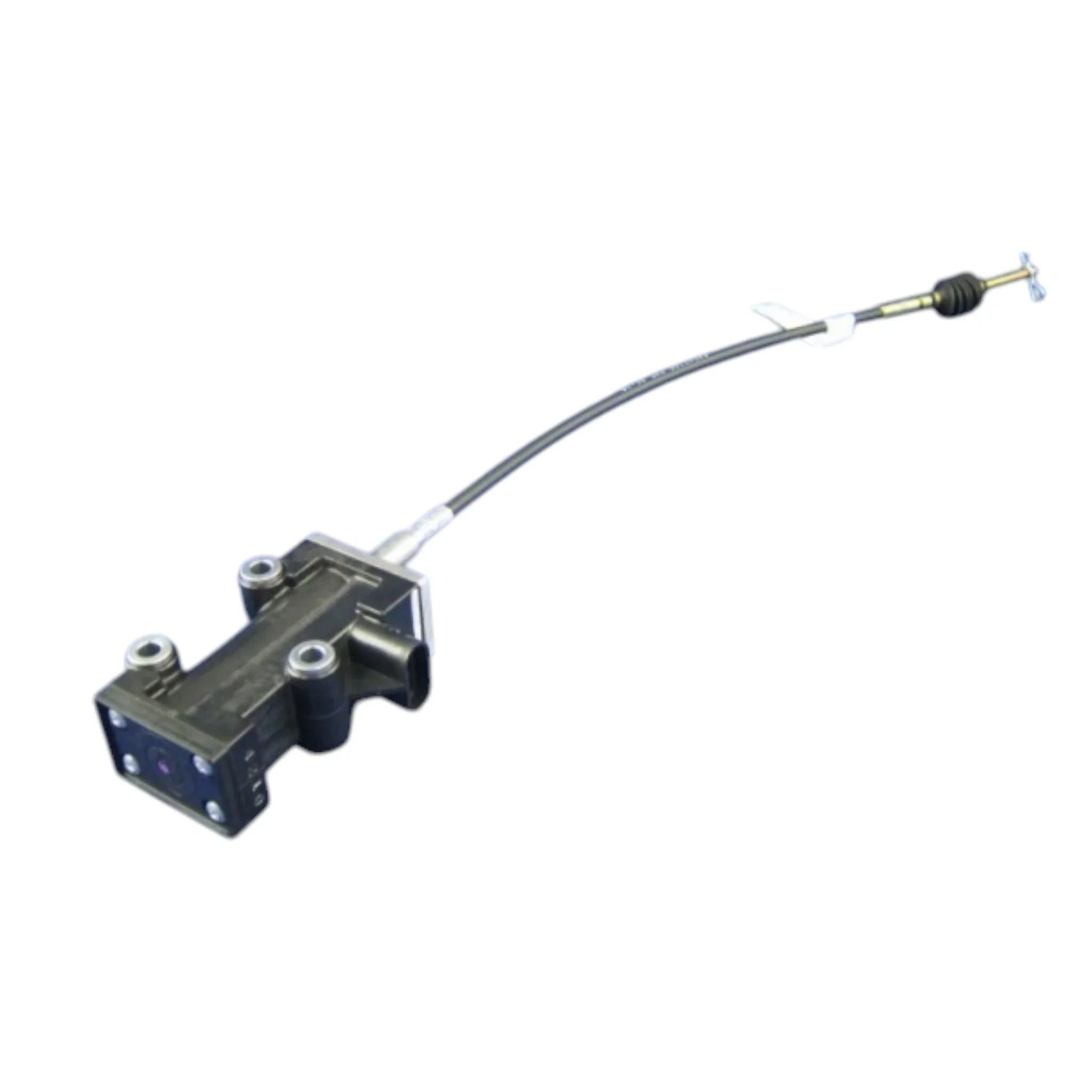 29507766-Photoroom.jpg?crop=