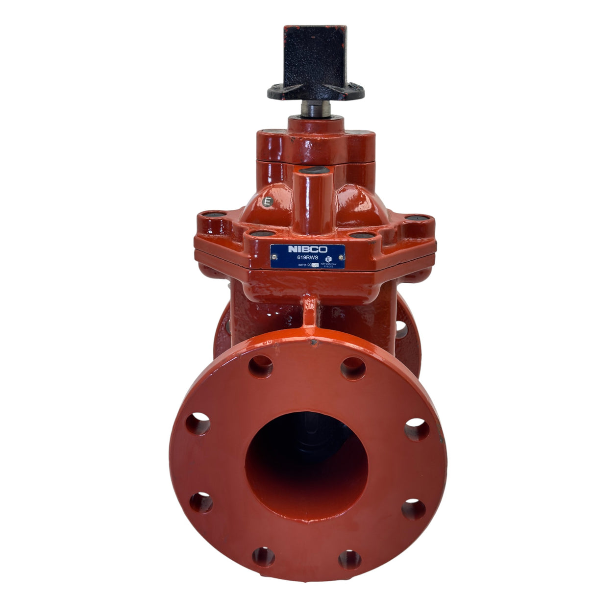 F619RWS Nibco Gate Valve