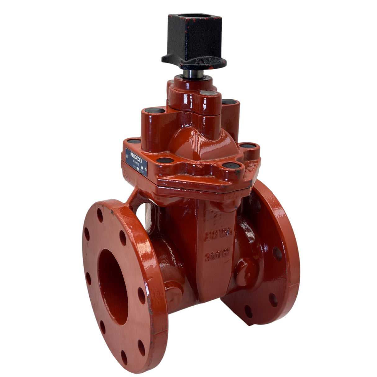 F619RWS Nibco Gate Valve