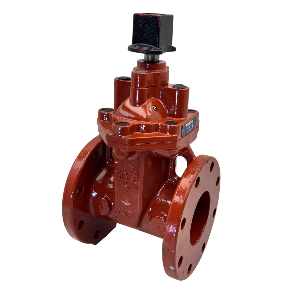 F619RWS Nibco Gate Valve
