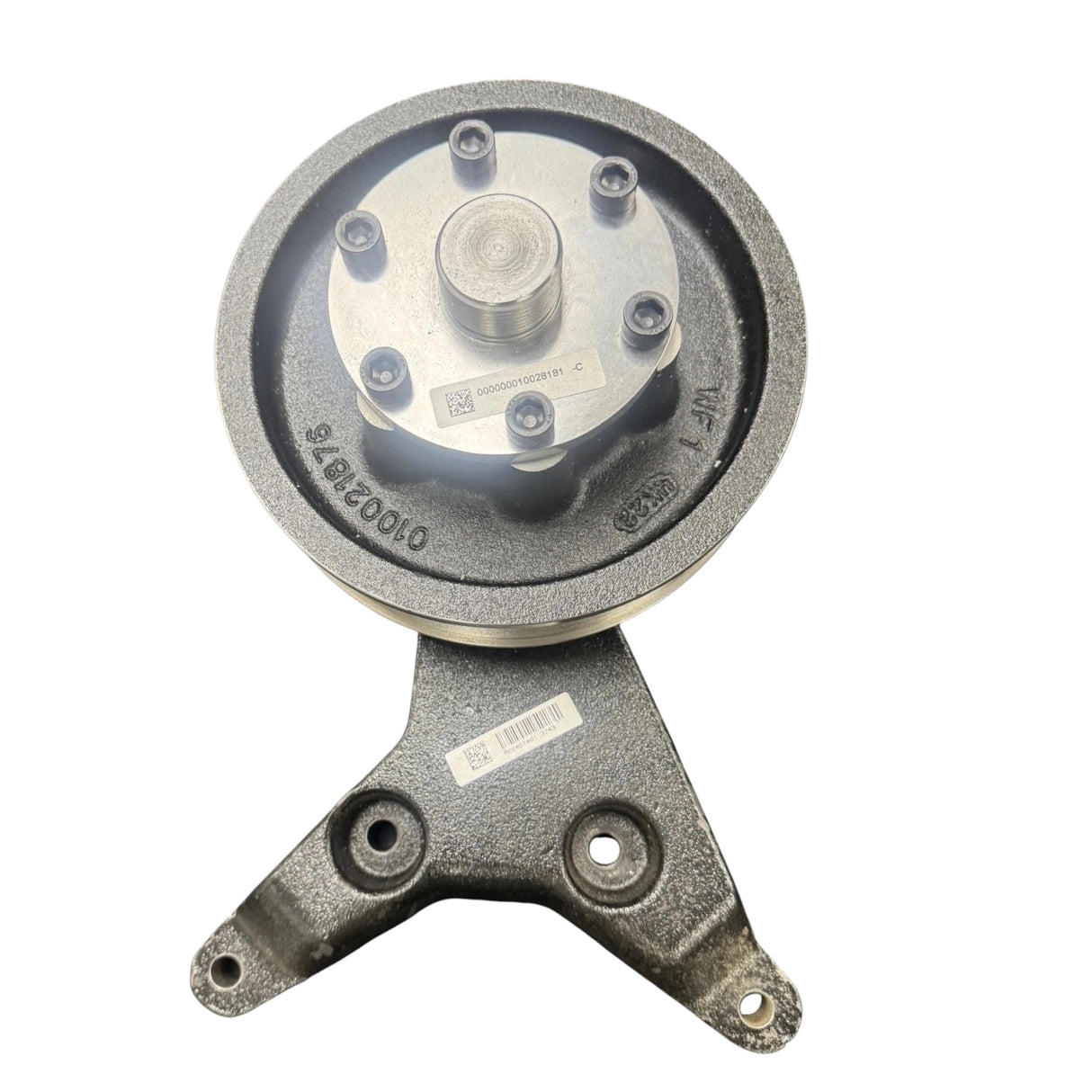 010021876 Genuine Borg Warner Fan Clutch