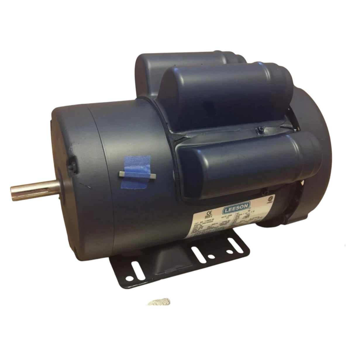 113929.00 Genuine Leeson Special Voltage Motor 110/220V 1500RPM