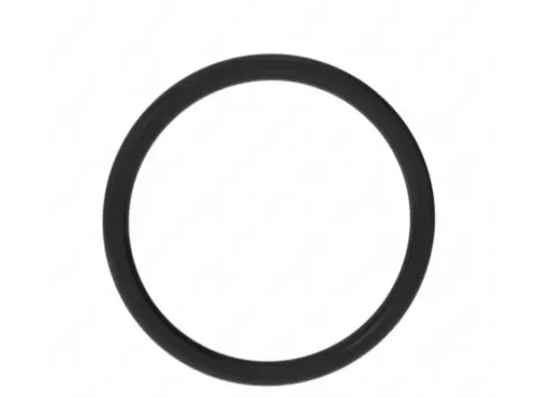 A4729971945 Genuine Detroit Diesel Sealing Ring - Truck To Trailer