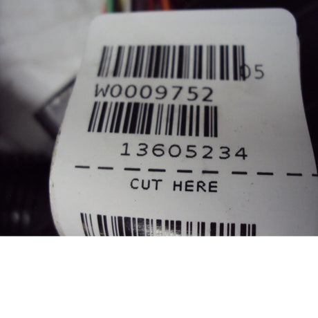 W0009752 Workhorse Wiring Harness