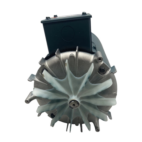 122229.00 Leeson 2 HP Special Voltage Motor
