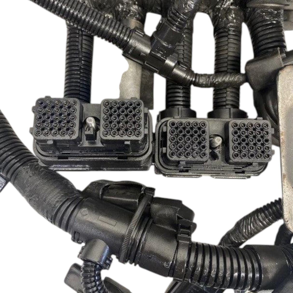 2864488 Cummins Wiring Harness