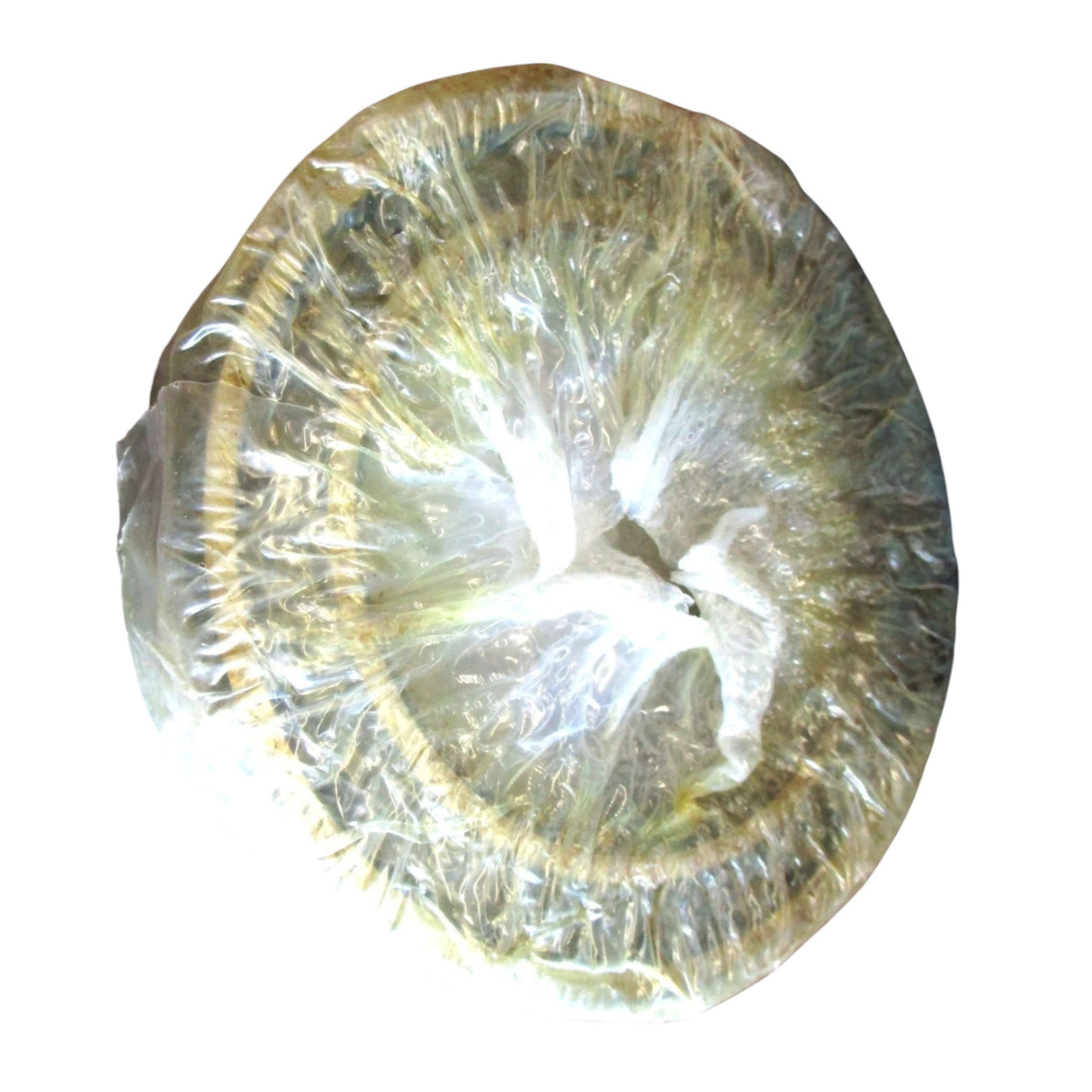 23028 CCK/C3W33 Genuine SKF Spherical Roller Bearing