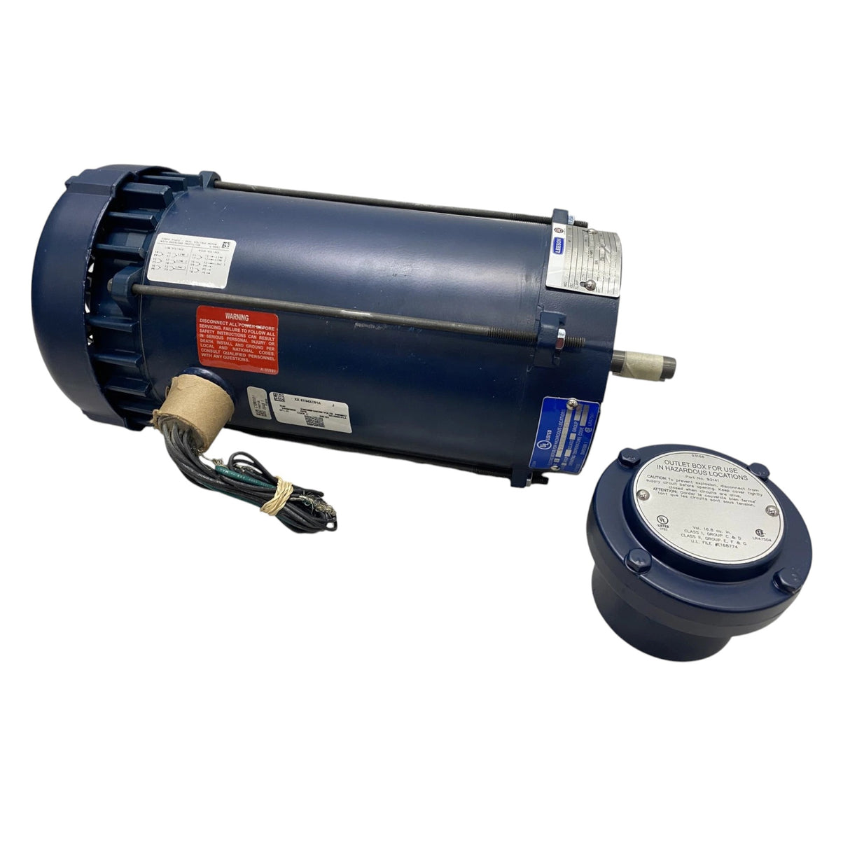 119431.00 Genuine Leeson Explosion-Proof Motor