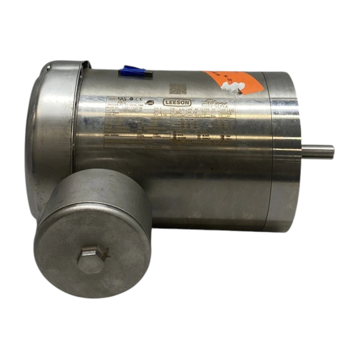 119512.00 Leeson Washdown Duty Motor