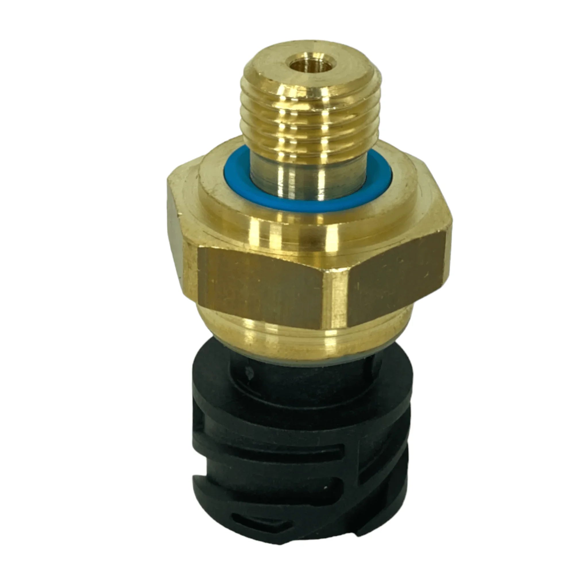 PP-「P」 Lysosomal Stress Response (LSR): Physiological Importance