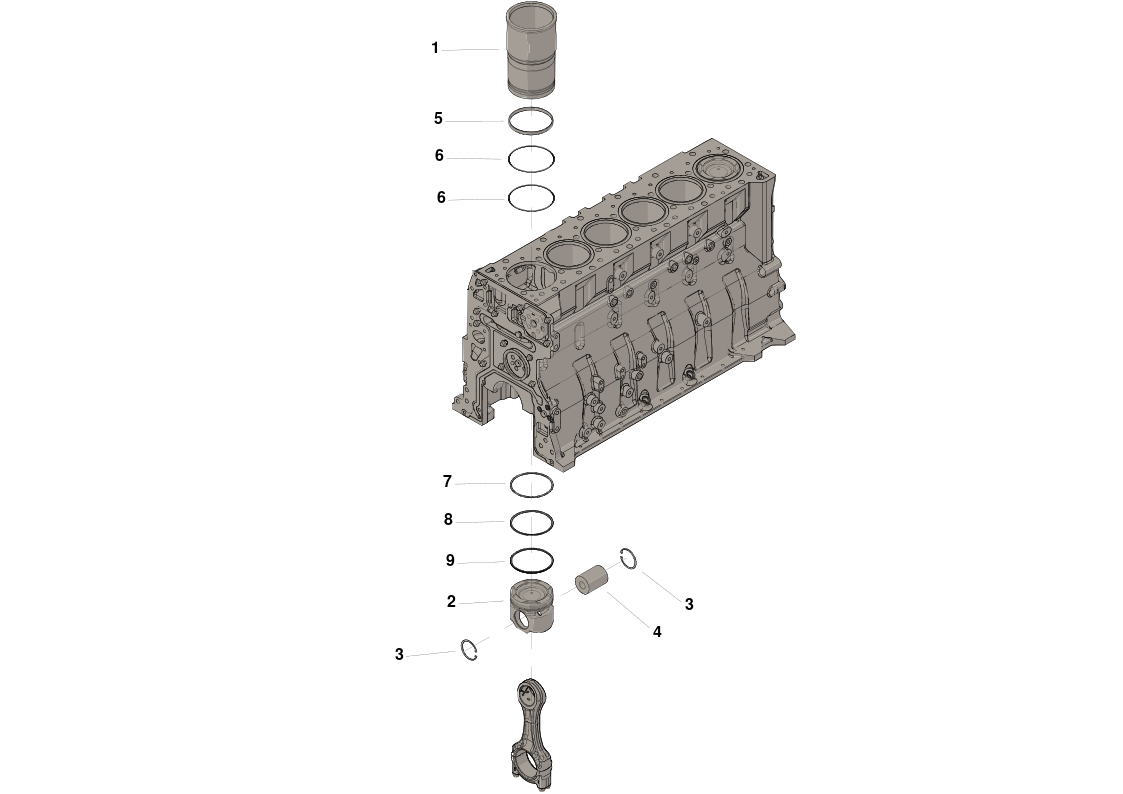 3804474 Cummins Cylinder Kit