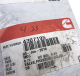 4307195 Genuine Cummins Fuel Pressure Relief Valve For Cummins