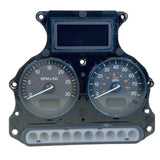 Q43-1192-001 Genuine Paccar Instrument Cluster