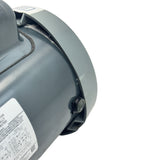 5KC49TN0568Y Genuine Marathon General Purpose Motor 115/230V