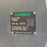 418269 Rickmeier Gear Pump