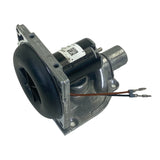 20.1819.99.1600.0Z Genuine Eberspacher Blower Motor 12V - Truck To Trailer