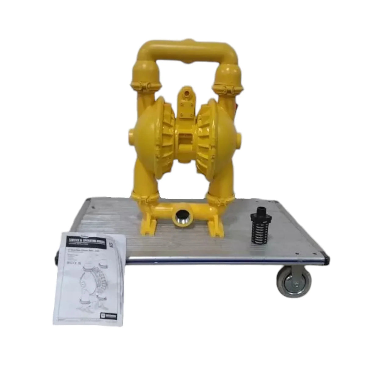E2AA2R220C-ATEX Versa-Matic Double Diaphragm Pump 2 In NPT Connection ...
