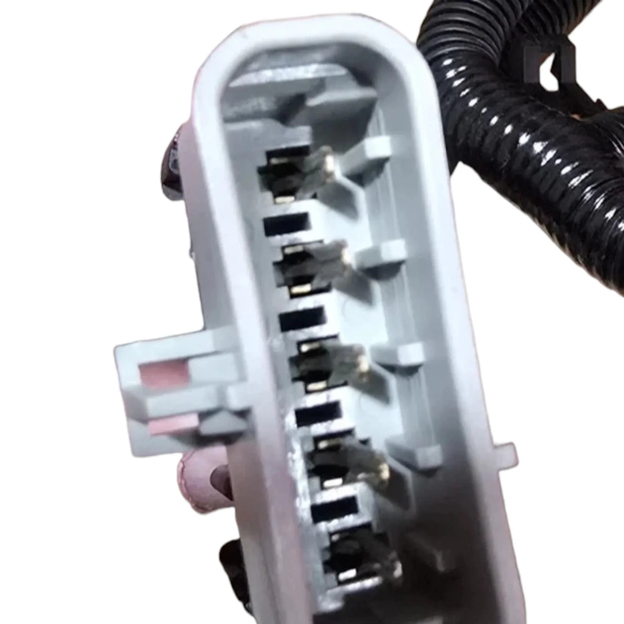 2589892C93 Genuine International Left Side Headlight Harness Assembly - Truck To Trailer