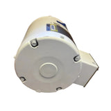 113019.00 Genuine Leeson Generaal Purpose Motor 230/460V