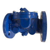 6030-0202 Zoeller Flanged Cast Iron Heavy Duty Check Valve