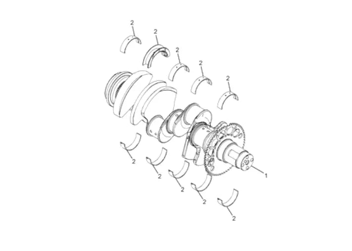 5011219R91 Genuine International Crankshaft Assembly