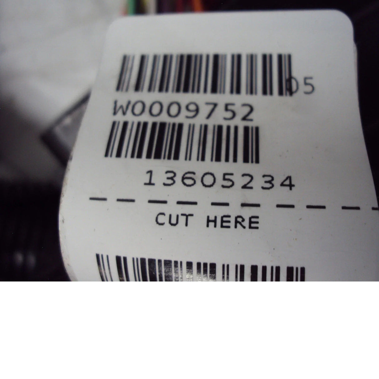 W0009752 Workhorse Wiring Harness