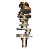 1843304C93 International Crankshaft