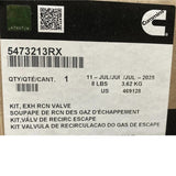 3695170 Genuine Cummins Exhaust Recirculation Valve Kit