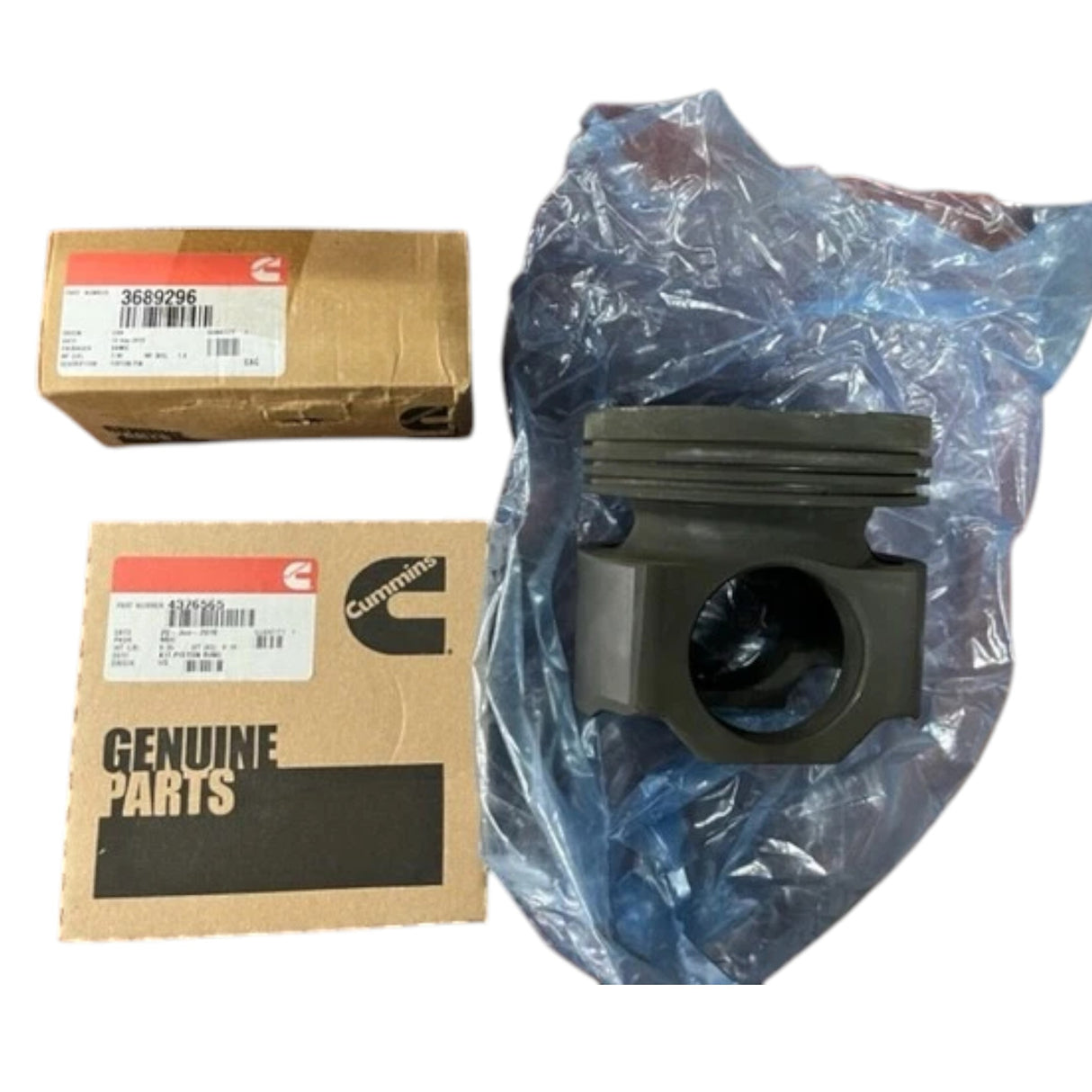 2881758 Genuine Cummins Engine Piston Kit
