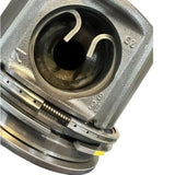 A9260301018 Genuine Detroit Diesel Piston Kit - Truck To Trailer