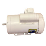 113300.00 Genuine Leeson General Purpose Motor 115/230V