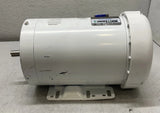 119476.00 Genuine Leeson Washdown Motor 230/460V