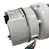 122194.00 Genuine Leeson Washdown Duty Brake Motor 208-230/460V