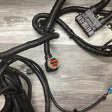 3606530C92 Genuine International Wiring Harness