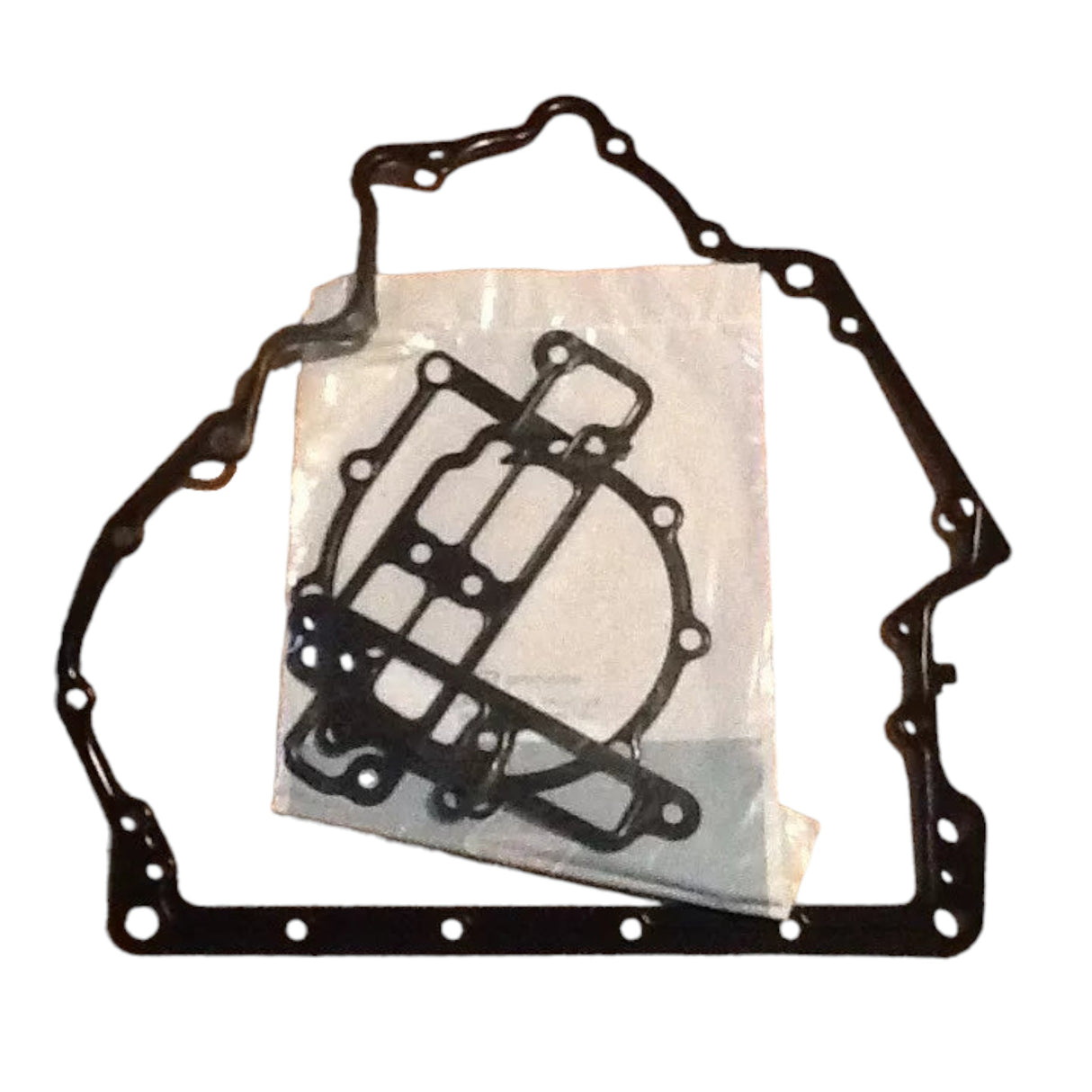 3007654C93 Genuine International Engine Oil Pump Kit