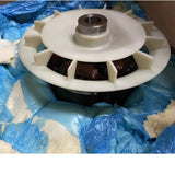 B-278420 Kohler Rotor Assembly