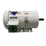 119463.00 Genuine Leeson Washdown Jet Pump Motor