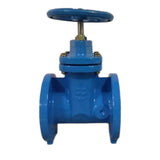 NRS-RW-Gate 3" Watts Nominal Valve Size Cast Iron Body Gate Valve 3 In