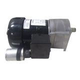 1LPX1 Dayton Max Torque AC Gearmotor 0.2 Input HP 30 RPM 115/230VAC