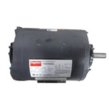 6XH83BA Dayton 50 Hz Motor 1/2 HP 1425 RPM 110/220VAC