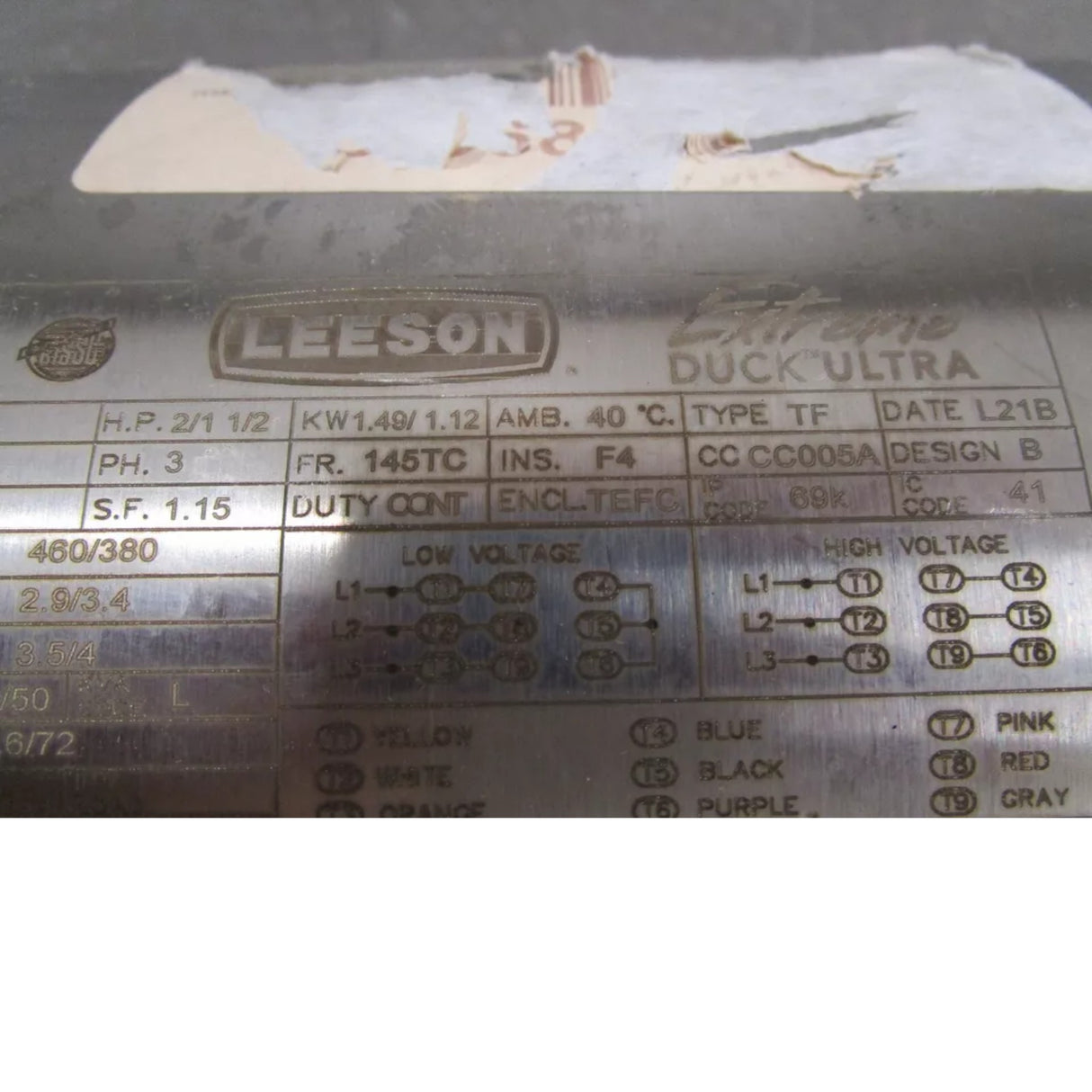 121911.00 Leeson Washdown Motor