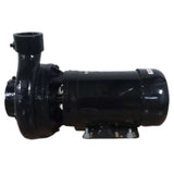 55JJ37 Dayton Max Head Centrifugal Pump