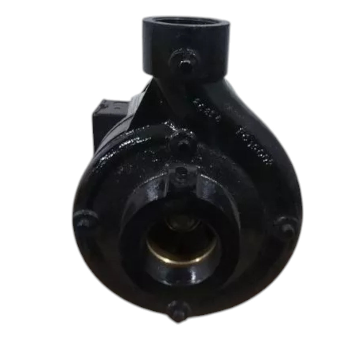 55JJ37 Dayton Max Head Centrifugal Pump