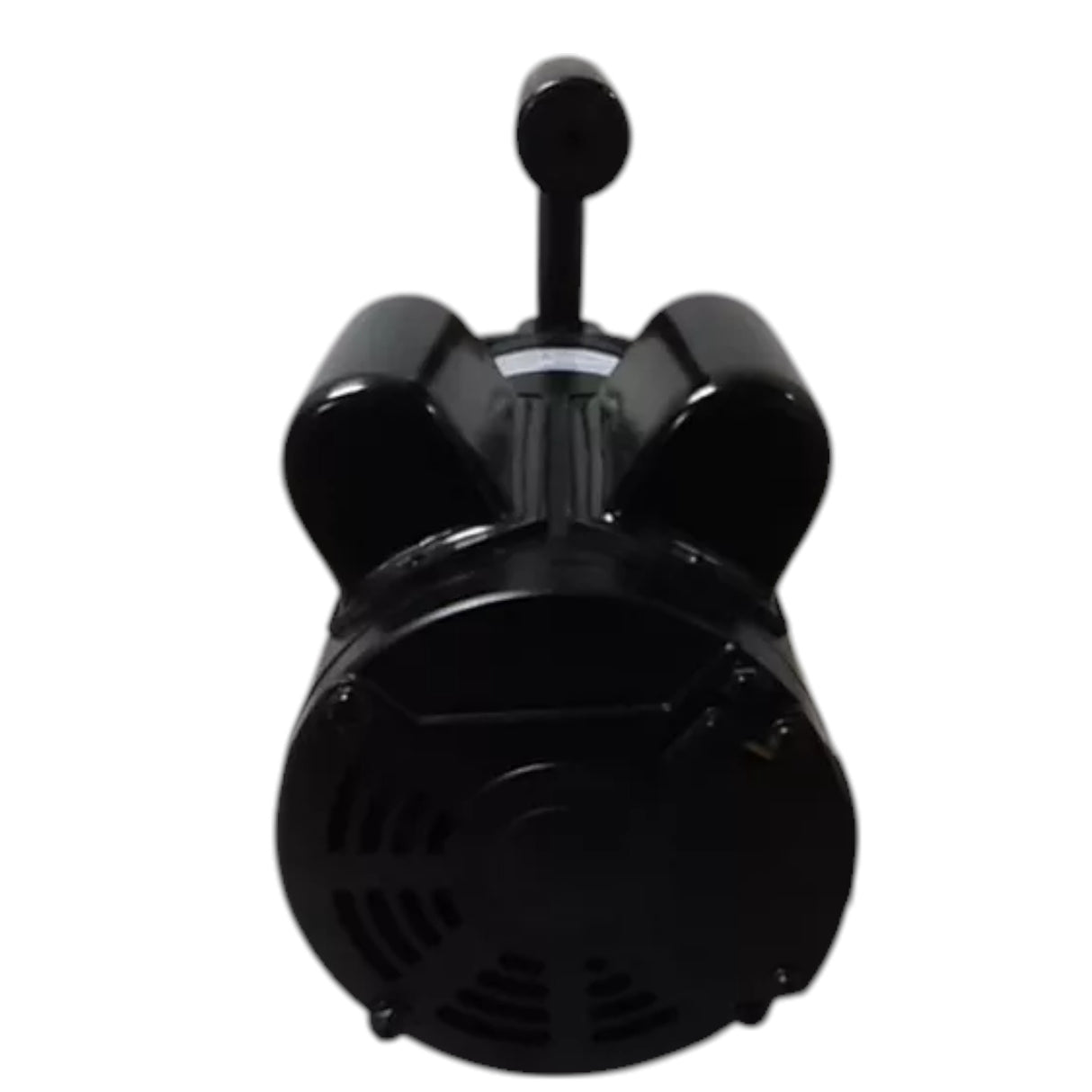 3ACC5 Dayton Flexible Impeller Pump