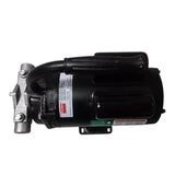 3ACC5 Dayton Flexible Impeller Pump