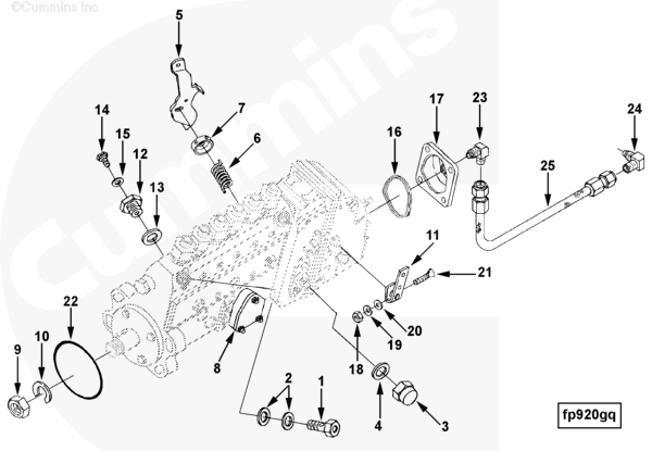 Cummins 3921159 Fuel Injection Pump - Truck To Trailer