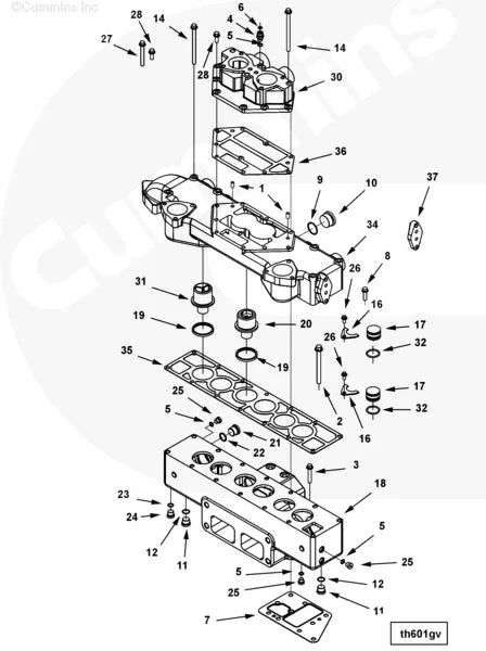 Cummins 4101148 Thermostat Housing Gasket - Truck To Trailer